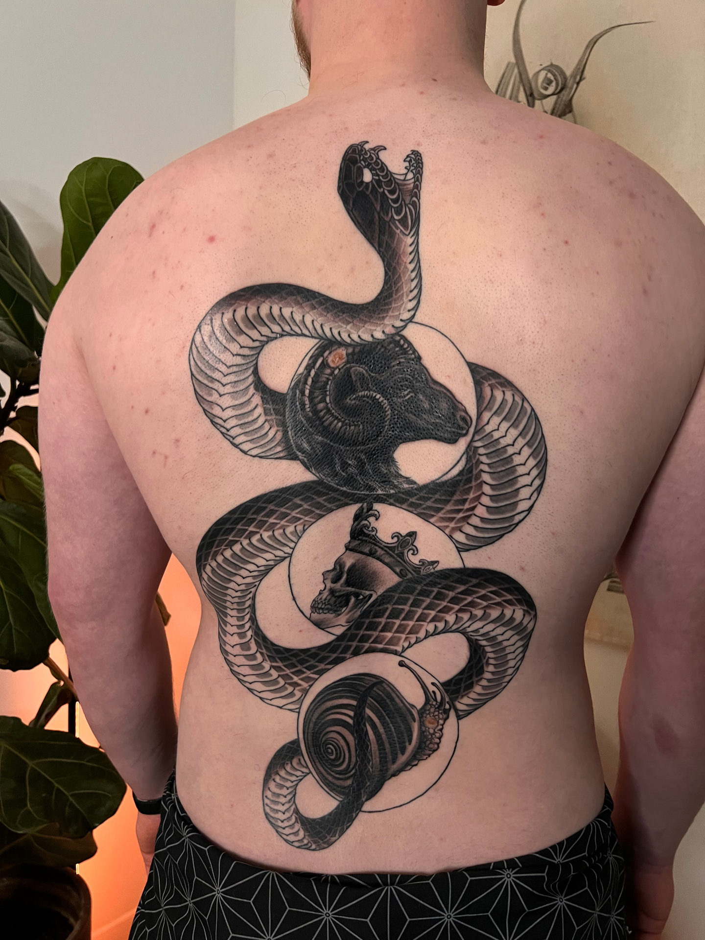 Cobra and ram back piece