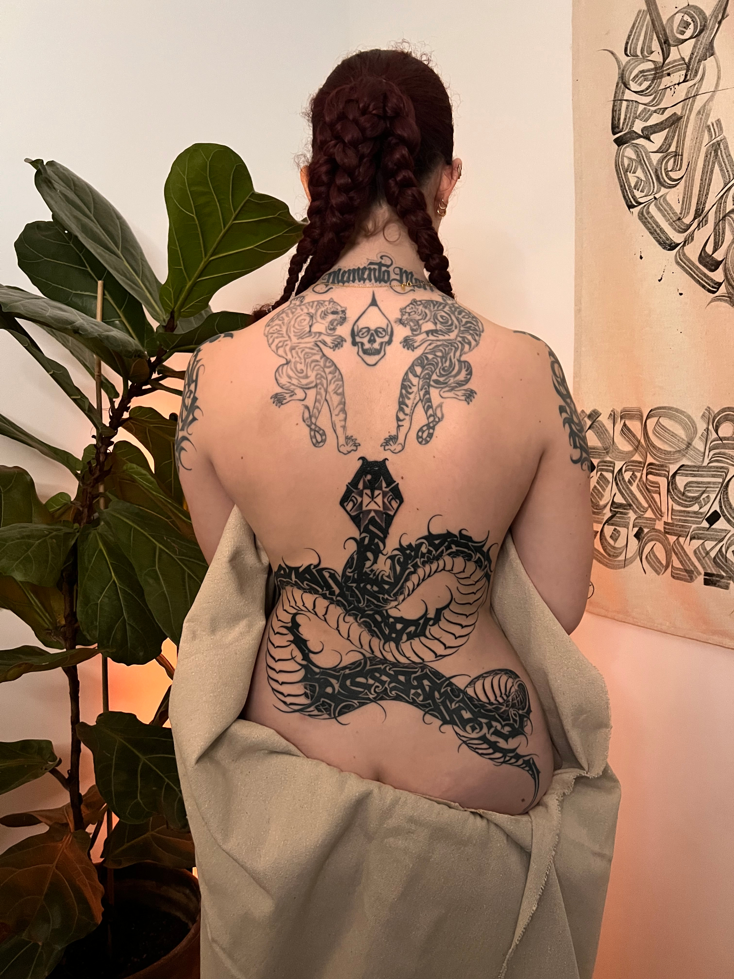 Full back lettering and tigers